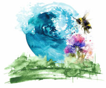 Axes Extérieur Environnement