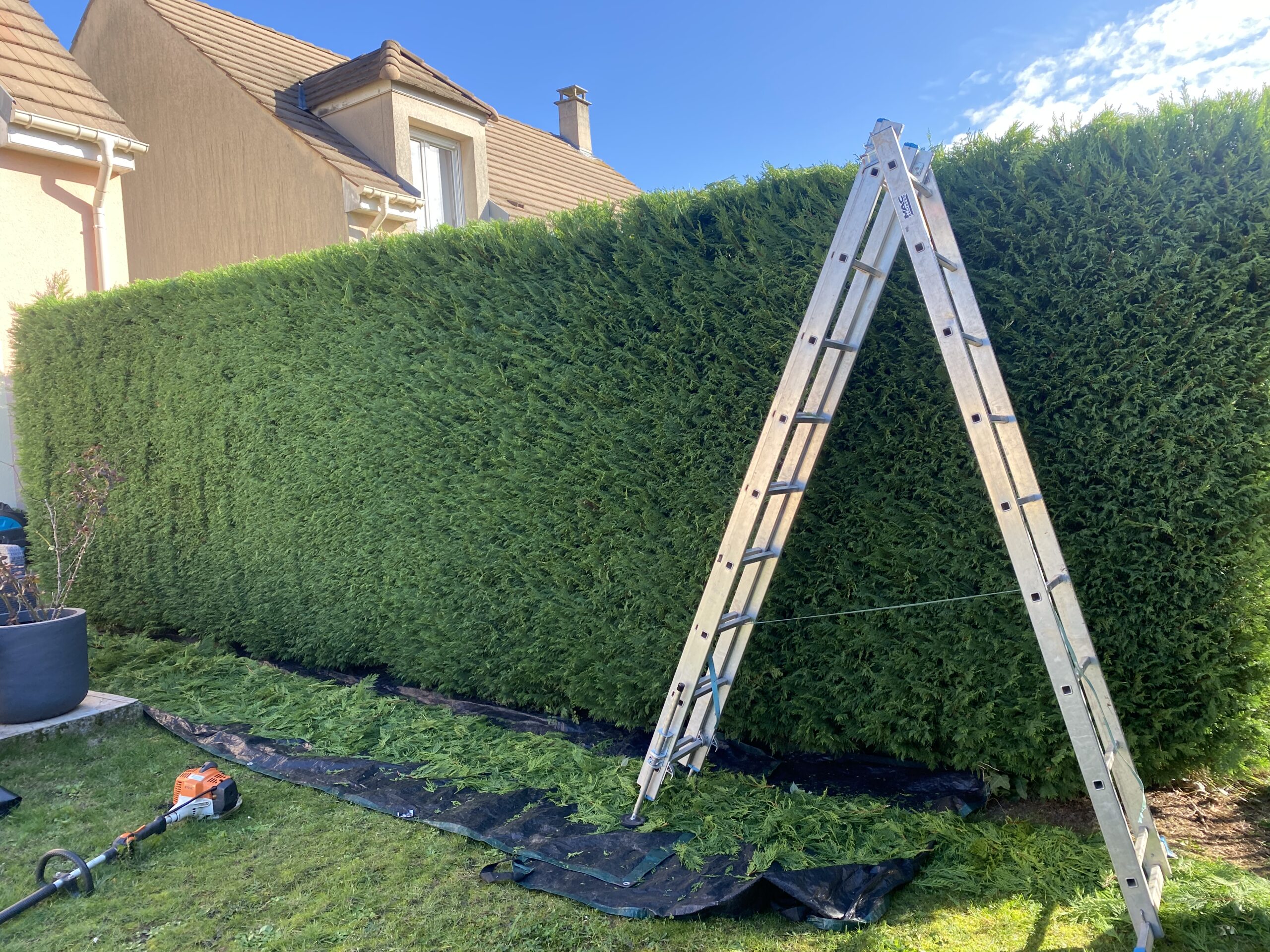 4 choses que vous devez savoir à propos de votre haie.